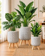 Botanic Aura Indoor Planters For Home
