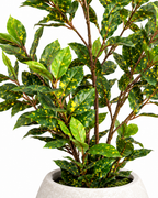 Dappled Daphne Artificial Indoor Plant For Home ( Natural feel )  ( 2.9 Feet )