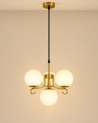 Ardelia Ceiling Light For Home & Item for Home Decoration