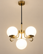 Ardelia Ceiling Light For Home & Item for Home Decoration