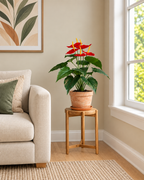 Flamingo Anthurium Artificial Indoor Plant For Home ( 1.5 Feet ) (Natural Feel)