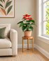 Flamingo Anthurium Artificial Indoor Plant For Home ( 1.5 Feet ) (Natural Feel)