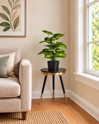 Sunlit Caladium Artificial Indoor Plant For Home ( 2.1 Feet ) (Natural Feel)