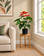 Flamingo Anthurium Artificial Indoor Plant For Home ( 1.5 Feet ) (Natural Feel)
