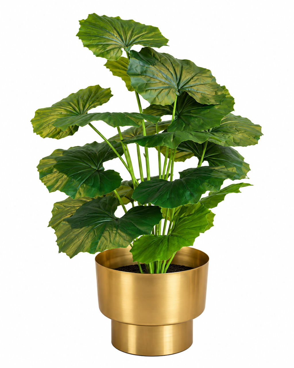 Begonia Haven Artificial Indoor Plant For Home ( 2.1 Feet ) (Natural Feel)