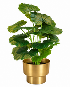 Begonia Haven Artificial Indoor Plant For Home ( 2.1 Feet ) (Natural Feel)
