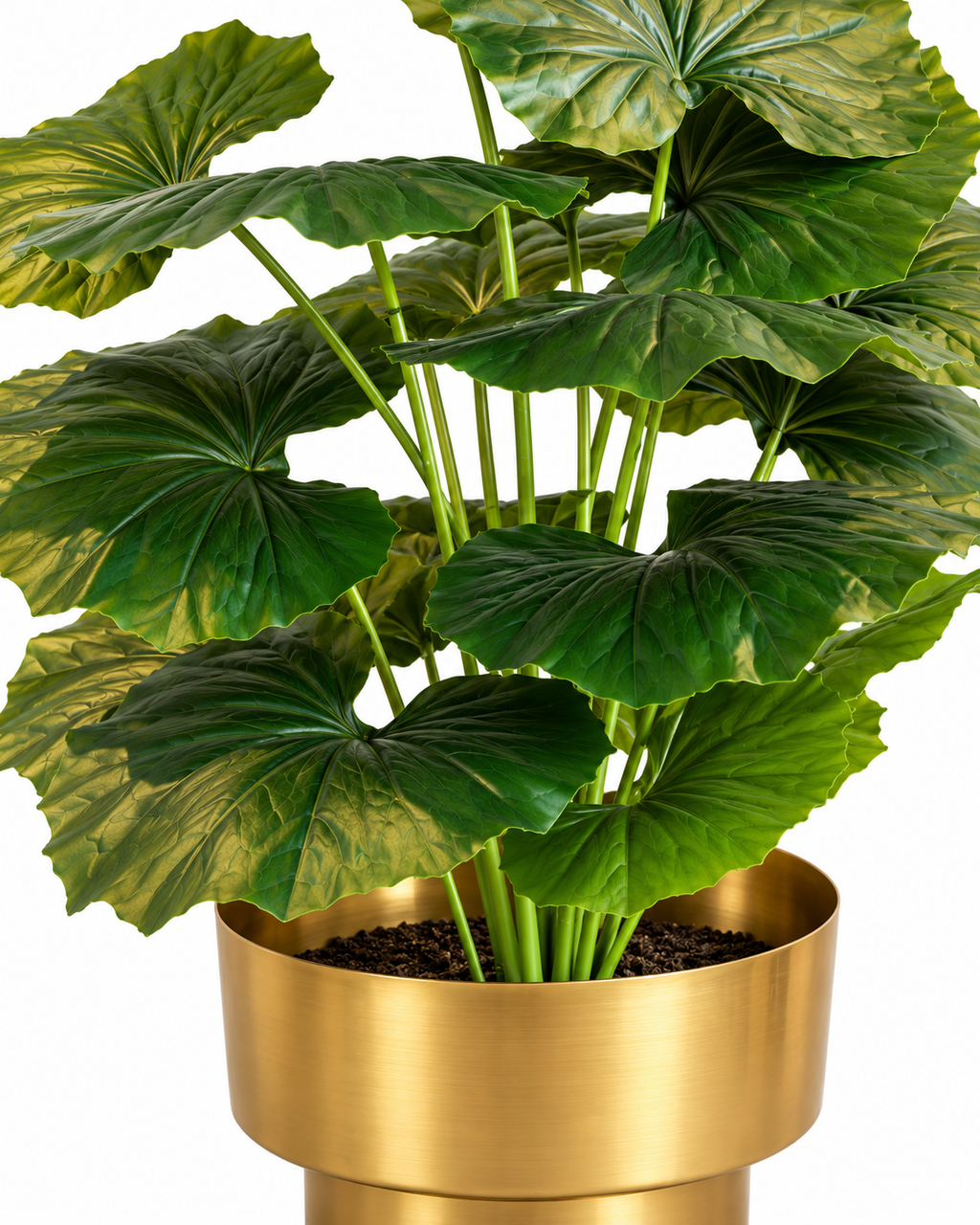Begonia Haven Artificial Indoor Plant For Home ( 2.1 Feet ) (Natural Feel)