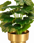 Begonia Haven Artificial Indoor Plant For Home ( 2.1 Feet ) (Natural Feel)