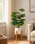 Begonia Haven Artificial Indoor Plant For Home ( 2.1 Feet ) (Natural Feel)