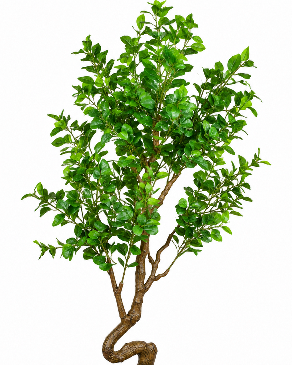 Heartleaf Ficus Artificial Indoor Plant For Home ( 5.6 Feet ) (Natural Feel)