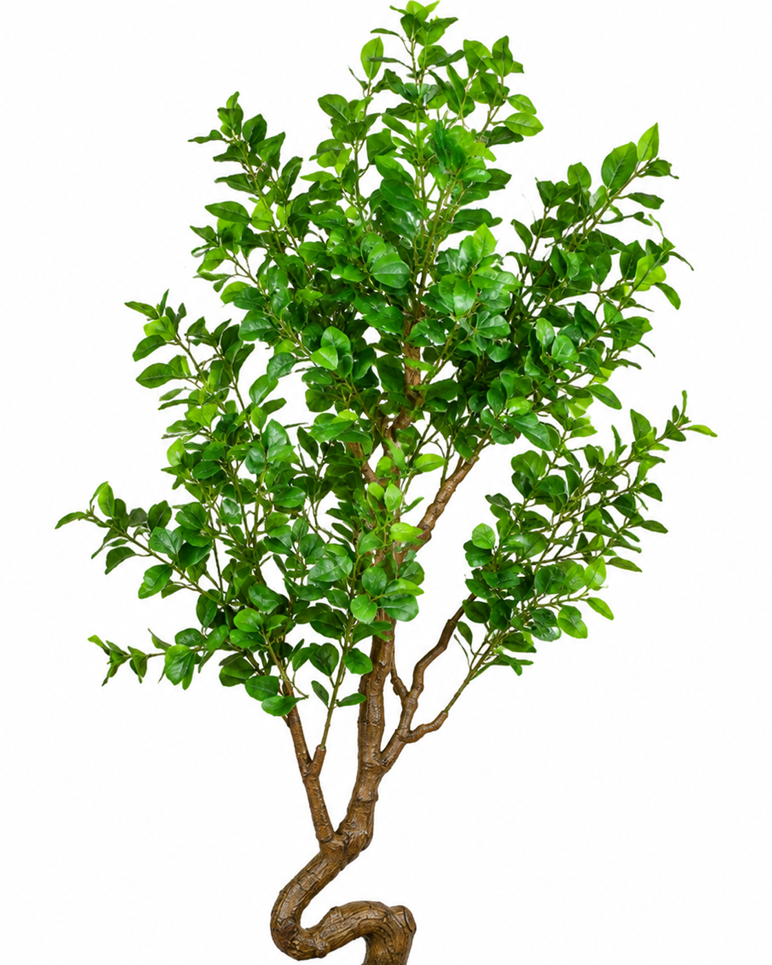 Heartleaf Ficus Artificial Indoor Plant For Home ( 5.6 Feet ) (Natural Feel)