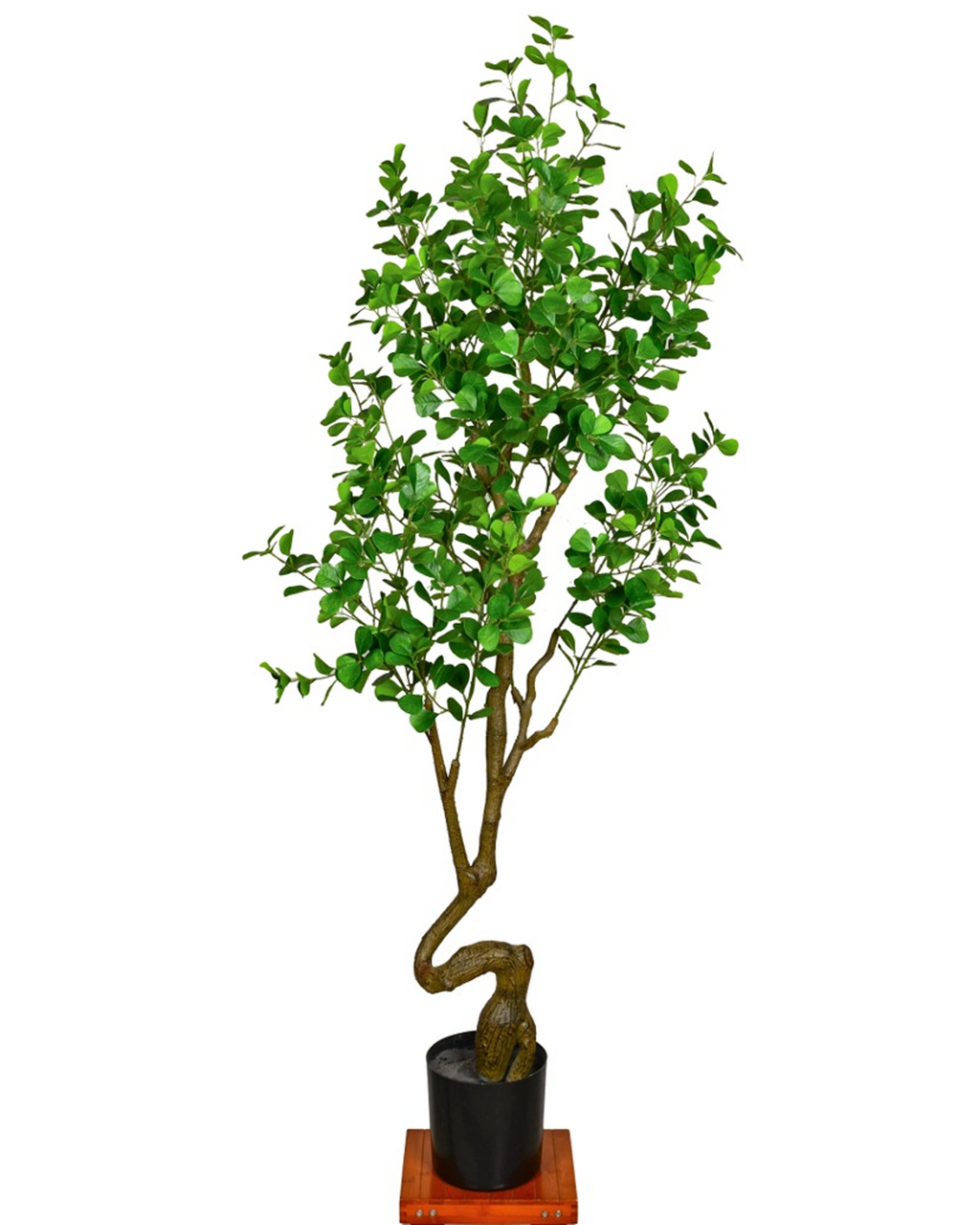 Heartleaf Ficus Artificial Indoor Plant For Home ( 5.6 Feet ) (Natural Feel)