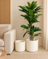 Artisan Pattern Indoor Planters For Home - Beige