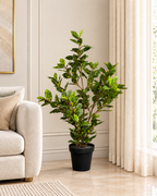 Dappled Daphne Artificial Indoor Plant For Home ( Natural feel )  ( 2.9 Feet )