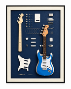 Guitar Anatomy Pop Art Shadow Box & Wall Decoration Item