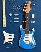 Guitar Anatomy Pop Art Shadow Box & Wall Decoration Item