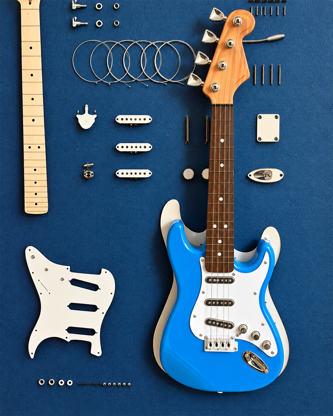 Guitar Anatomy Pop Art Shadow Box & Wall Decoration Item