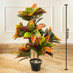 Evergreen Delight Croton Artificial Plant (3.3 Feet) (Natural Feel)