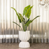 Elegant Swirl Planter (White)