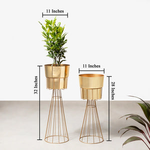 Avant-Garden Planters Set of 2 - Gold