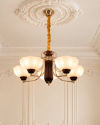 Orvella Grace Chandelier For Home & Item for Home Decoration