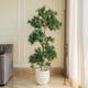 Podocarpus Spiral Whisper Artificial Plant For Living Room - 4 Feet