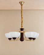 Orvella Grace Chandelier For Home & Item for Home Decoration