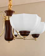 Orvella Grace Chandelier For Home & Item for Home Decoration