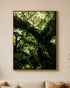 Deep Forest Greens Embossed Nature Wall Wall Art Paintings for Home & Item for Wall Decoration ( 47 x 35.5 Inches )