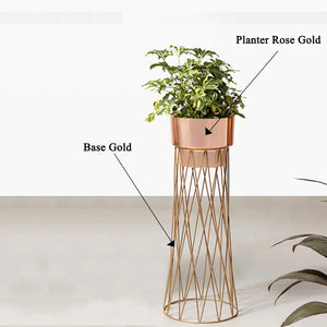 Zen Botanics Planters - Small - Rose Gold