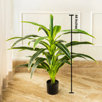 Botanic Beauty Dracaena Lemon Lime Artificial Plant (3.5 Feet) (Natural Feel)