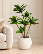 Dracaena Fragrans Artificial Indoor Plant For Home ( Natural feel )  ( 3 Feet )