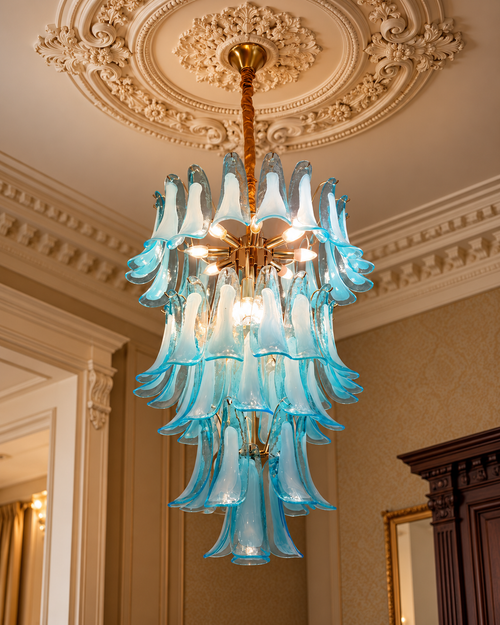 Orvella Majesty Chandelier for Home & item for Home Decoration