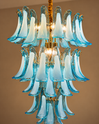 Orvella Majesty Chandelier for Home & item for Home Decoration