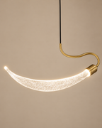 Zylora Pendent lights for Home & Item for Home Decoration - White