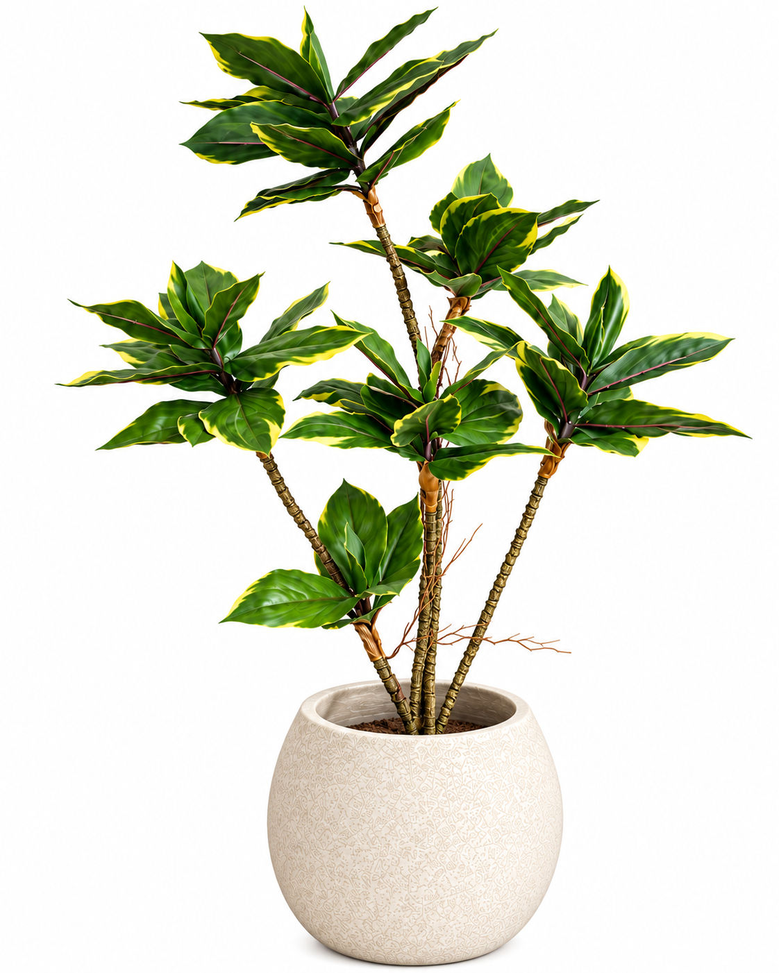 Dracaena Fragrans Artificial Indoor Plant For Home ( Natural feel )  ( 3 Feet )