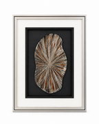 Harmony of Shadow Box for Wall Decoration - Set of 3