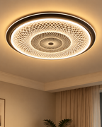 Lumina Vortex Ceiling Light for Home & item for Decoration