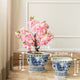 Botanical Haven Inddor Planters for Home - Set of 2