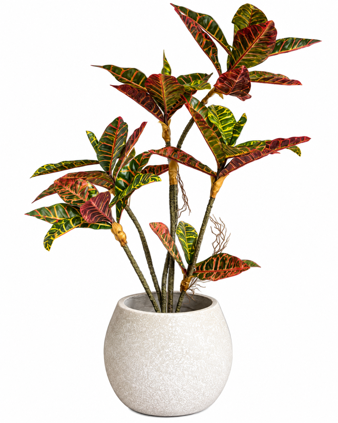 Croton Grove Artificial Indoor Plant For Home ( Natural feel )  ( 3 Feet )