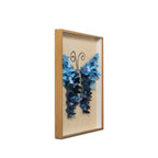 Oceanic Butterfly Shadow Box and Wall decoration item