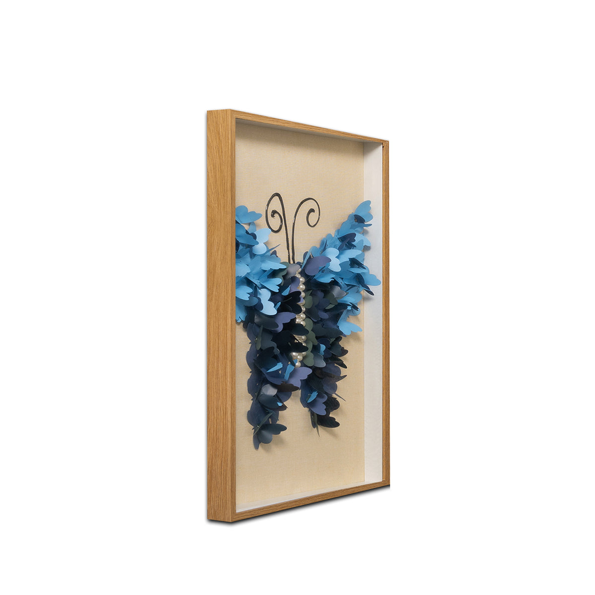 Oceanic Butterfly Shadow Box and Wall decoration item