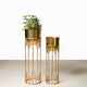 Dripping Luxury Metal Gold Planters - Pair