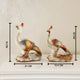 Prideful Peacock Table Decoration Showpiece for Home Décor