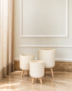 Nature's Charm Indoor Planters For Home