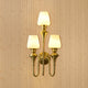 Elysian Curve Wall Lamps  for Living Room - Tiple Sconce