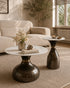 Luna Form Coffee Table for Living Room - Set of 2