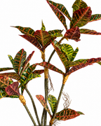 Croton Grove Artificial Indoor Plant For Home ( Natural feel )  ( 3 Feet )