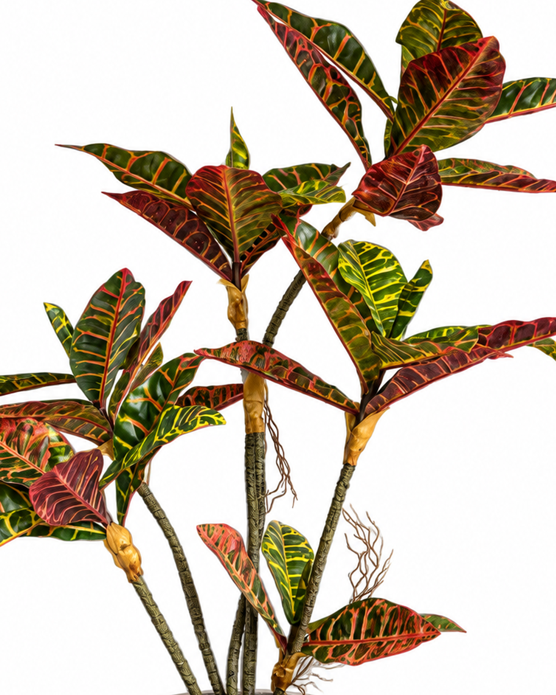 Croton Grove Artificial Indoor Plant For Home ( Natural feel )  ( 3 Feet )