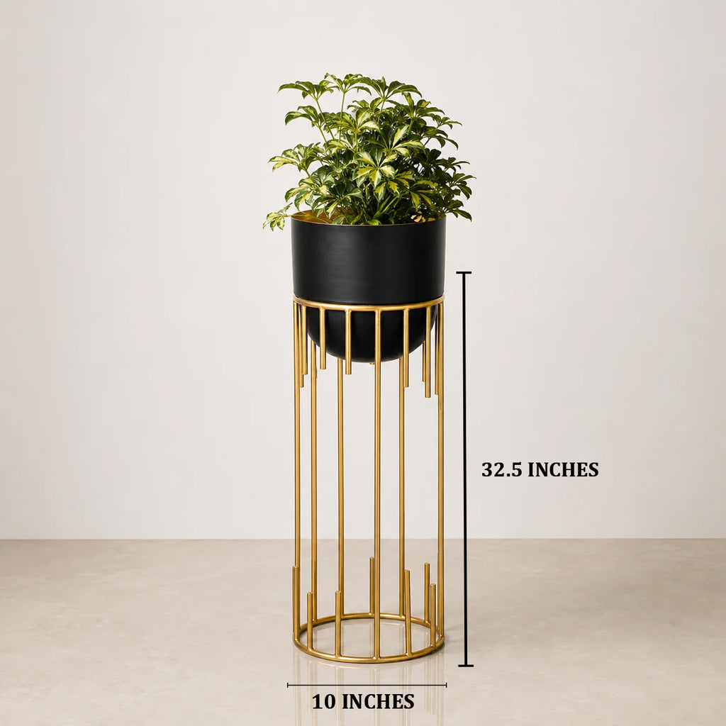 Dripping Luxury Metal Bllack Planters - Big